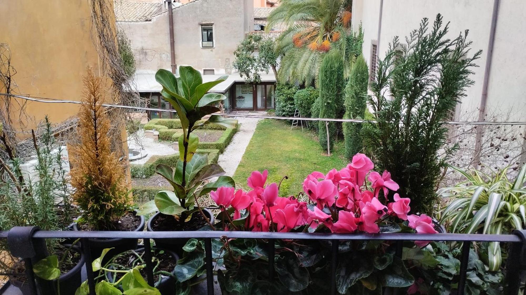 Bed and Breakfast Ottantotto Viterbo Zewnętrze zdjęcie